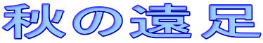 �H�̉���